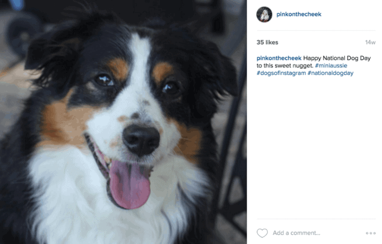 The Best Instagram Hashtags to Increase Likes