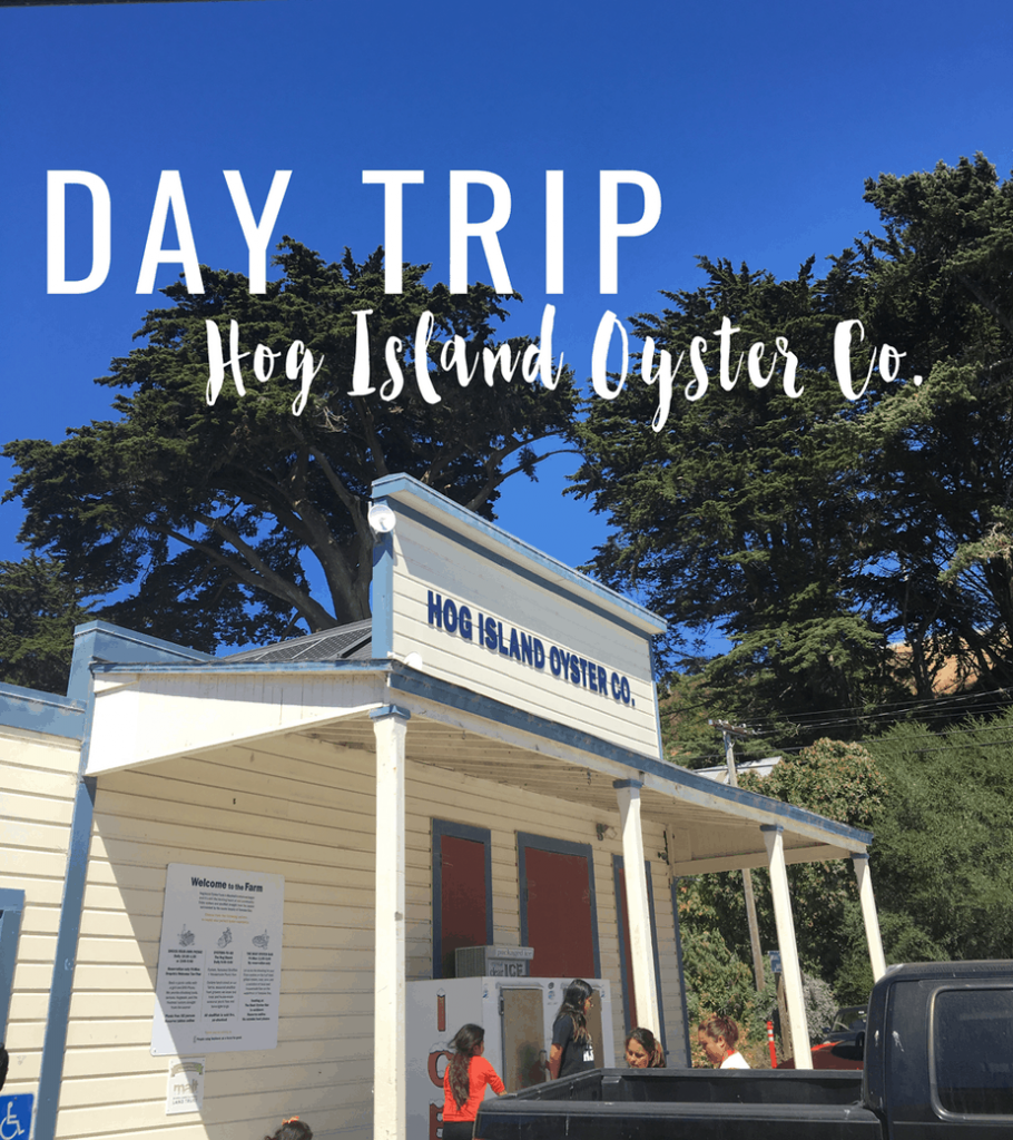 Day trip to Hog Island Oyster Company in Marshall, California