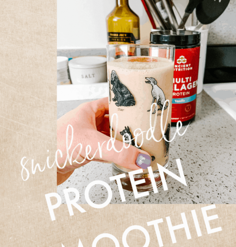Snickerdoodle protein smoothie